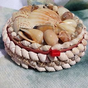 Seashell Jewelry Box